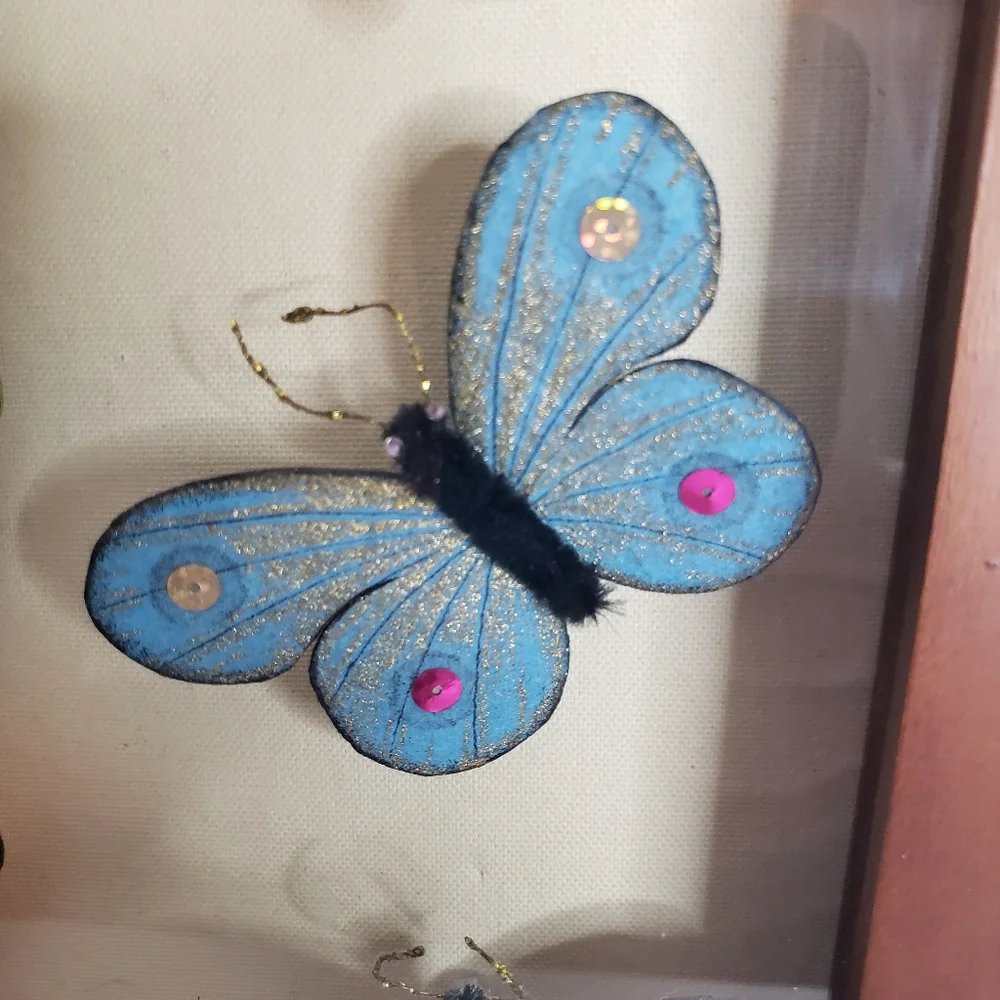 Butterflies arranged in a shadow box. 214